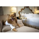 Fairmont Hotels & Resorts Gives Dog Owners & Their Pups Something to Celebrate This International Dog Day