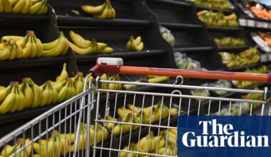 Rising UK food prices turn cash-strapped shoppers away from high street | Retail industry