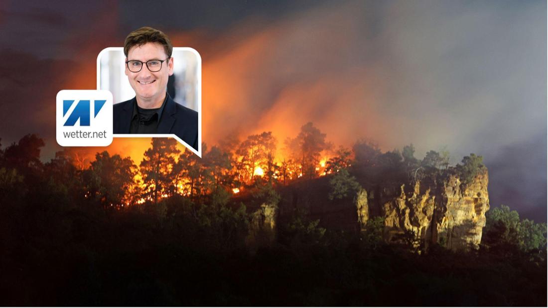 Eine Waldfläche im Bereich Lehof in Quedlinburg steht am Abend in Flammen.