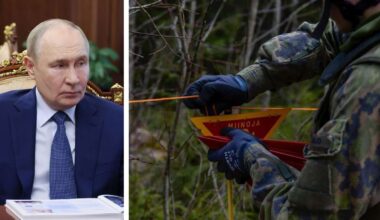 Osteuropäische Nato-Staaten steigen aus Landminen-Verbot aus