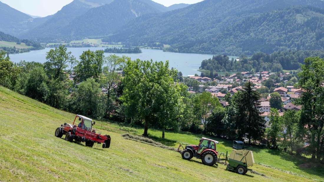 Landwirte im Landkreis - hier bei der Mahd am Schliersee - profitieren weniger von Flächenprämien.