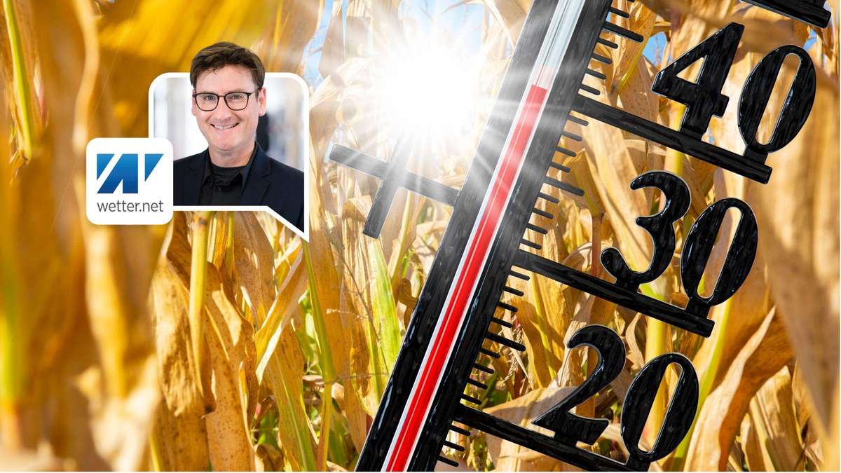 Hitzesommer blieb in Deutschland bislang weitestgehend aus – warum das ein großes Glück ist