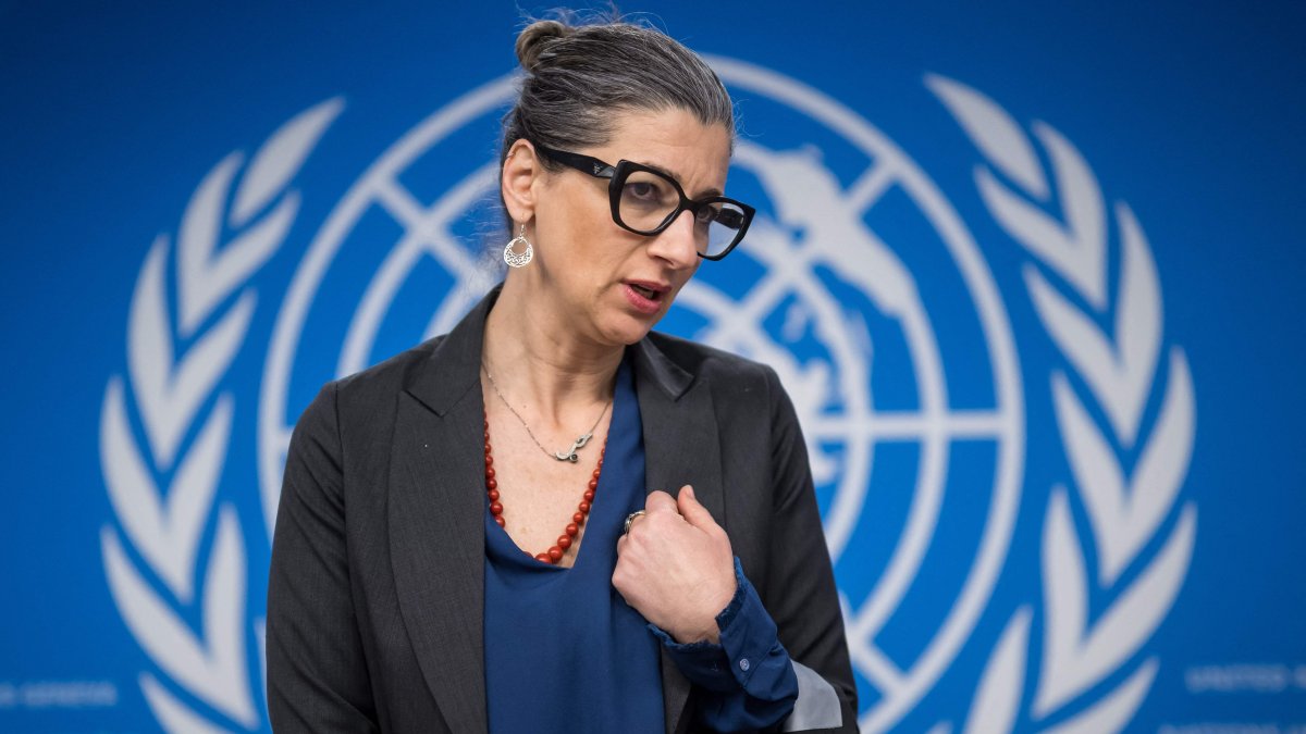 US sanctions UN rapporteur for criticizing Israel's war on Gaza