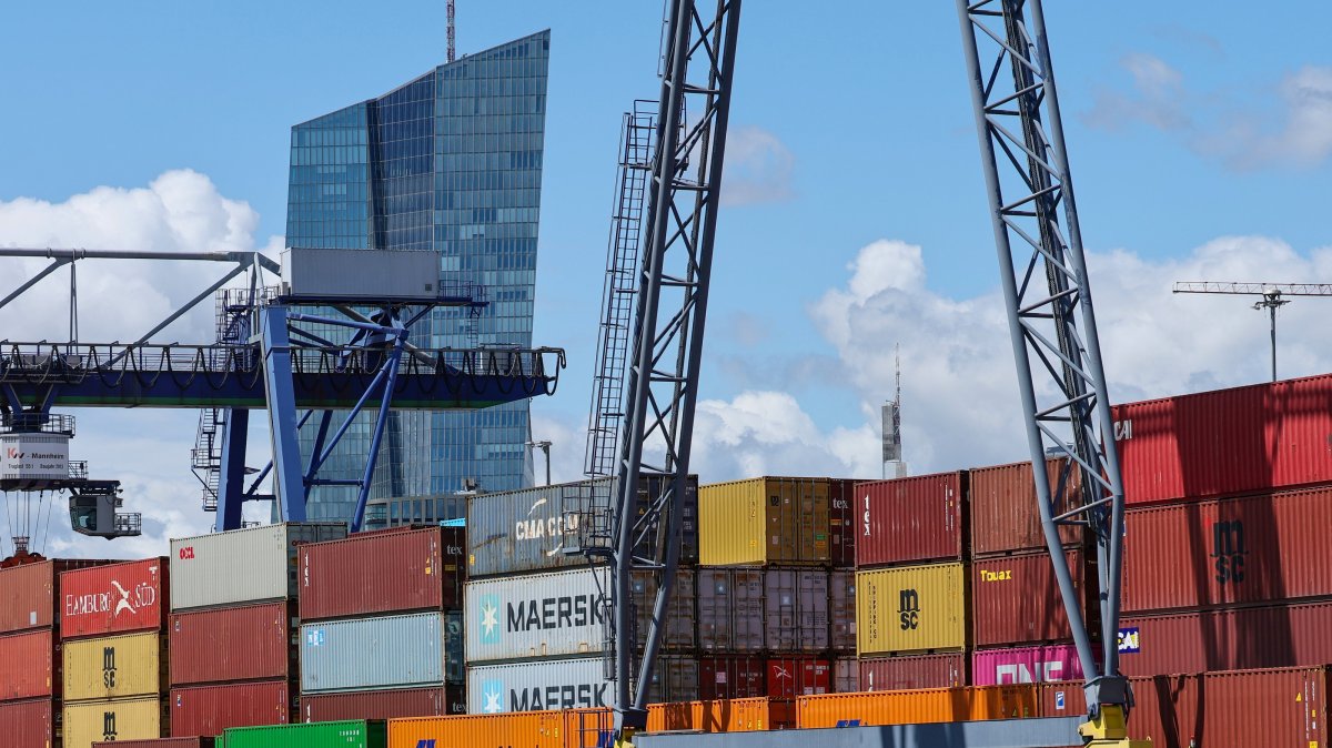 Eurozone growth falters as Germany shrinks, tariff headwinds mount