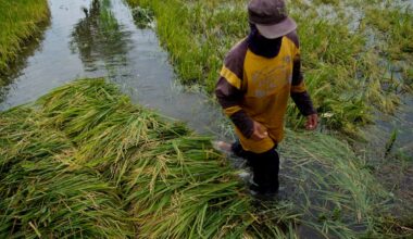 The World Court finally opens the door to 'climate reparations' | Opinion | Eco-Business