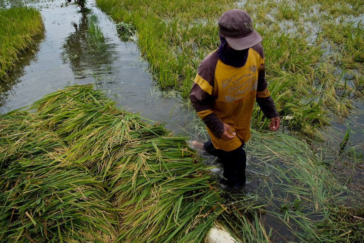 The World Court finally opens the door to 'climate reparations' | Opinion | Eco-Business