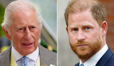 Prince Harry's new blow as he's left out of royal tribute - Celebrity News - Entertainment