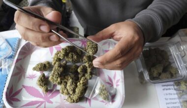 Thailand starts banning the sale of cannabis without a prescription