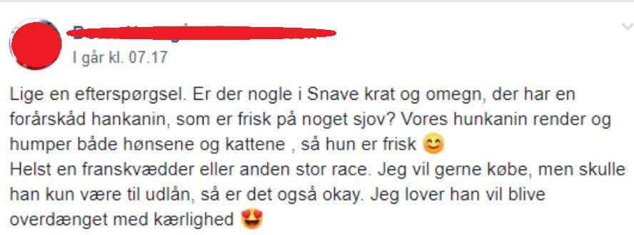 Er der monstro nogle frække hankaniner i Snave og omegn på linjen?