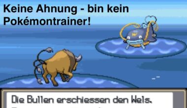 ich🐂iel