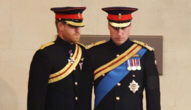 Three times Prince William 'made changes' to accommodate Prince Harry - Celebrity News - Entertainment