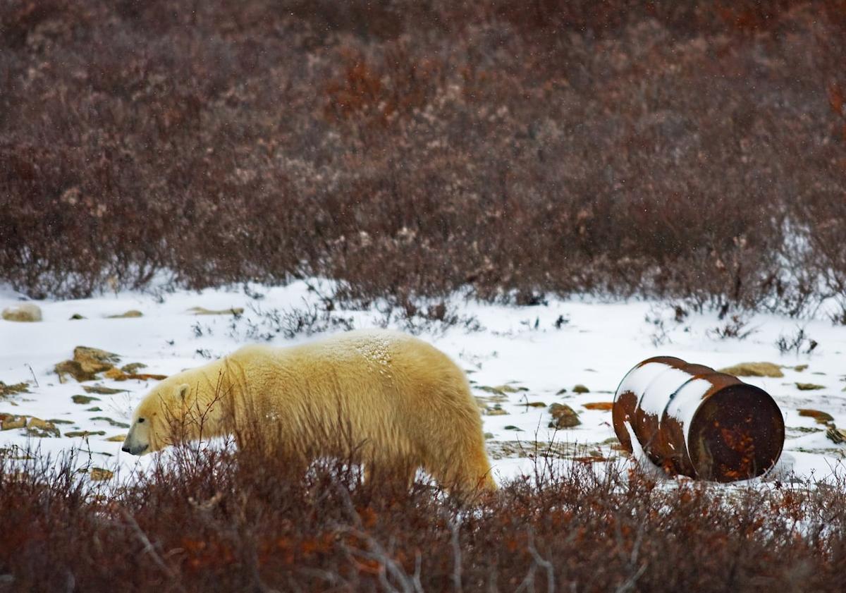 Regulator OK's liquefied natural gas exports through Hudson Bay, pending future compliance