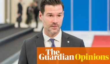 A rightwing minister told Sweden to get tough on crime – until his own son was caught in a Nazi scandal | Martin Gelin