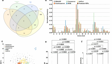 Computational exploration of global venoms for antimicrobial discovery with Venomics artificial intelligence