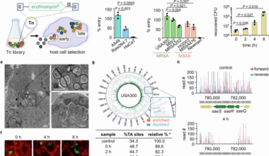 Environmental cues in different host niches shape the survival fitness of Staphylococcus aureus