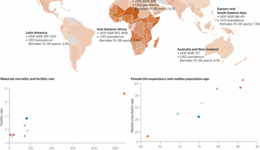 Kidney health outcomes of hypertensive disorders of pregnancy