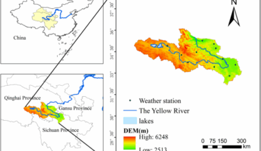 Analysis of vegetation coverage changes and driving forces in the source region of the yellow river