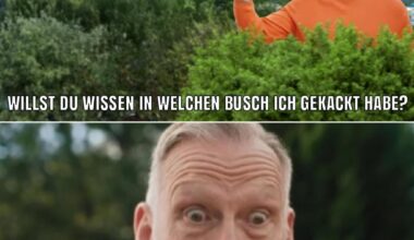 Nicht schon wieder...