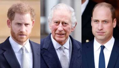 Prince Harry to leave out Prince William from Charles peace ‘meeting’