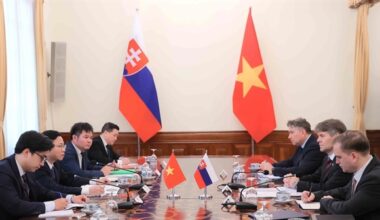 Việt Nam, Slovakia hold political consultation