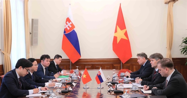 Việt Nam, Slovakia hold political consultation