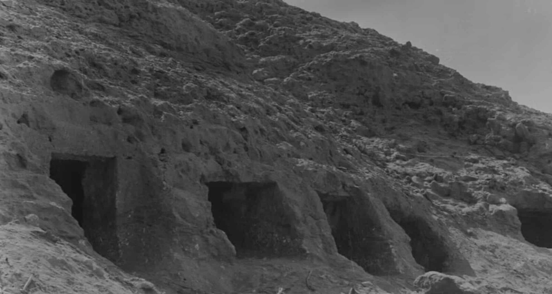 4,500 Year Old Dna From Ancient Teeth Reveals Secrets Of A Lost Civilization