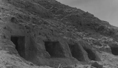 4,500 Year Old Dna From Ancient Teeth Reveals Secrets Of A Lost Civilization