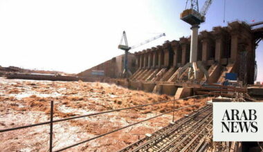 Crops wither in war-torn Sudan as power cuts cripple irrigation