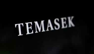 Temasek sees more opportunities in Europe after investing $7.8 billion in region last year