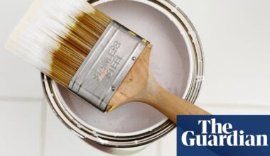 AI helps find formula for paint to keep buildings cooler | Artificial intelligence (AI)