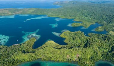 Sunken WWII Japanese warship Teruzuki found off Solomon Islands