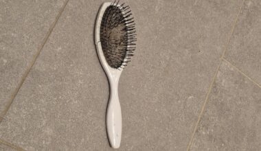 Weet iemand welke borstel dit is?