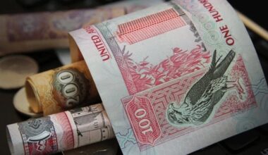 EU votes to remove UAE from ‘high-risk’ money-laundering list