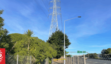 Potentially deadly pipe bombs found by body near Auckland motorway