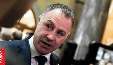'A ray of sunshine': NZ litigants spurred on by international climate ruling