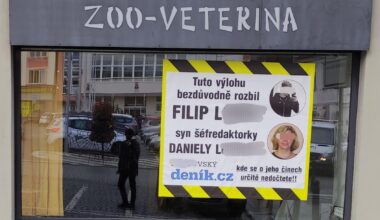 Majitel poškozené výlohy zveřejnil tvář a jméno viníka.