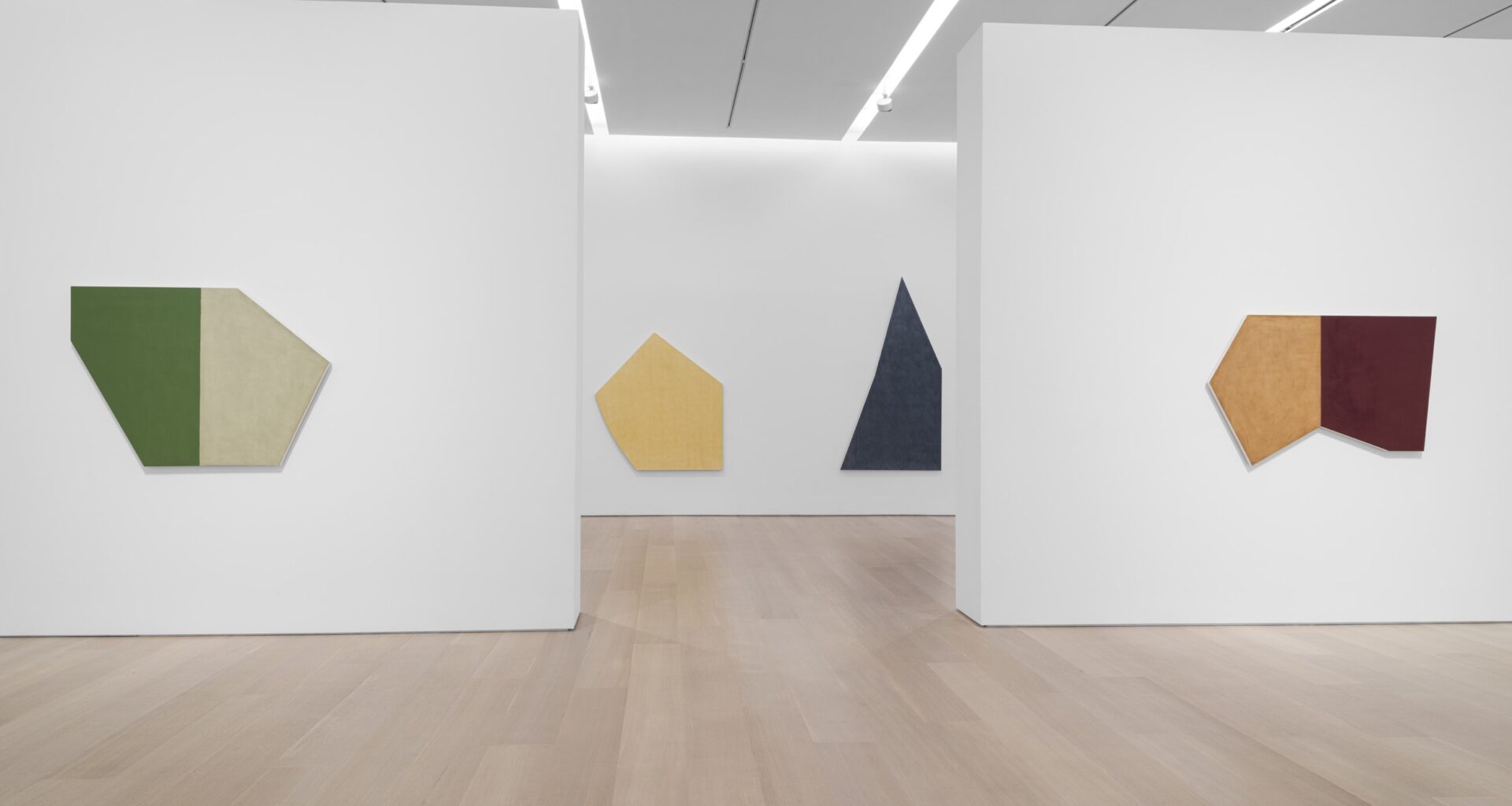 Robert Mangold: Pentagons and Folded Space