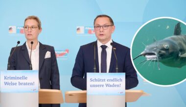 Nach wiederholten Angriffen auf Badegäste: AfD fragt nach Vornamen von Welsen