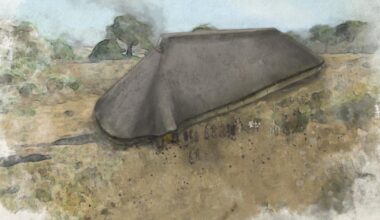 Dig uncovers 'monumental' timber building older than Stonehenge