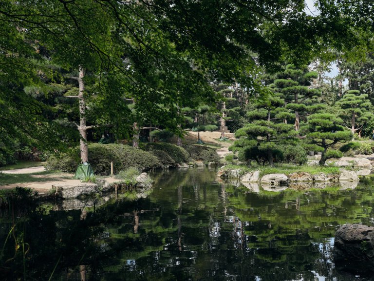Japanese garden with pond and meticulously pruned trees.