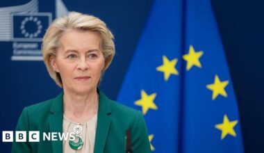 EU delays retaliatory trade tariffs against US