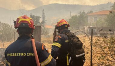 Μεσσηνία: Νέα αναζωπύρωση στην Πολυθέα Τριφυλίας  – Μαίνεται η φωτιά (βίντεο)