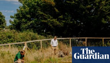 Green mission aims to raise £1bn to bring nature into UK towns and cities | Conservation