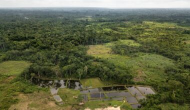 New guide supports transparent land-use monitoring for climate action
