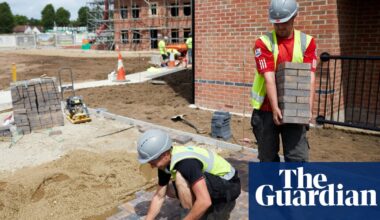 UK government putting pressure on nature groups to drop opposition to planning bill | Planning policy