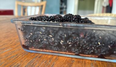 Was krabbelt da aus meinen Brombeeren ?