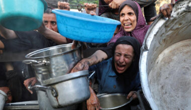 Muslim world must act now to stop Gaza genocide: Iranian, Turkish FMs