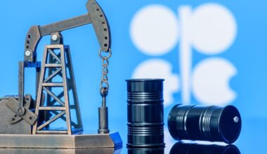 Iran posts largest oil revenue gain among OPEC members in 2024