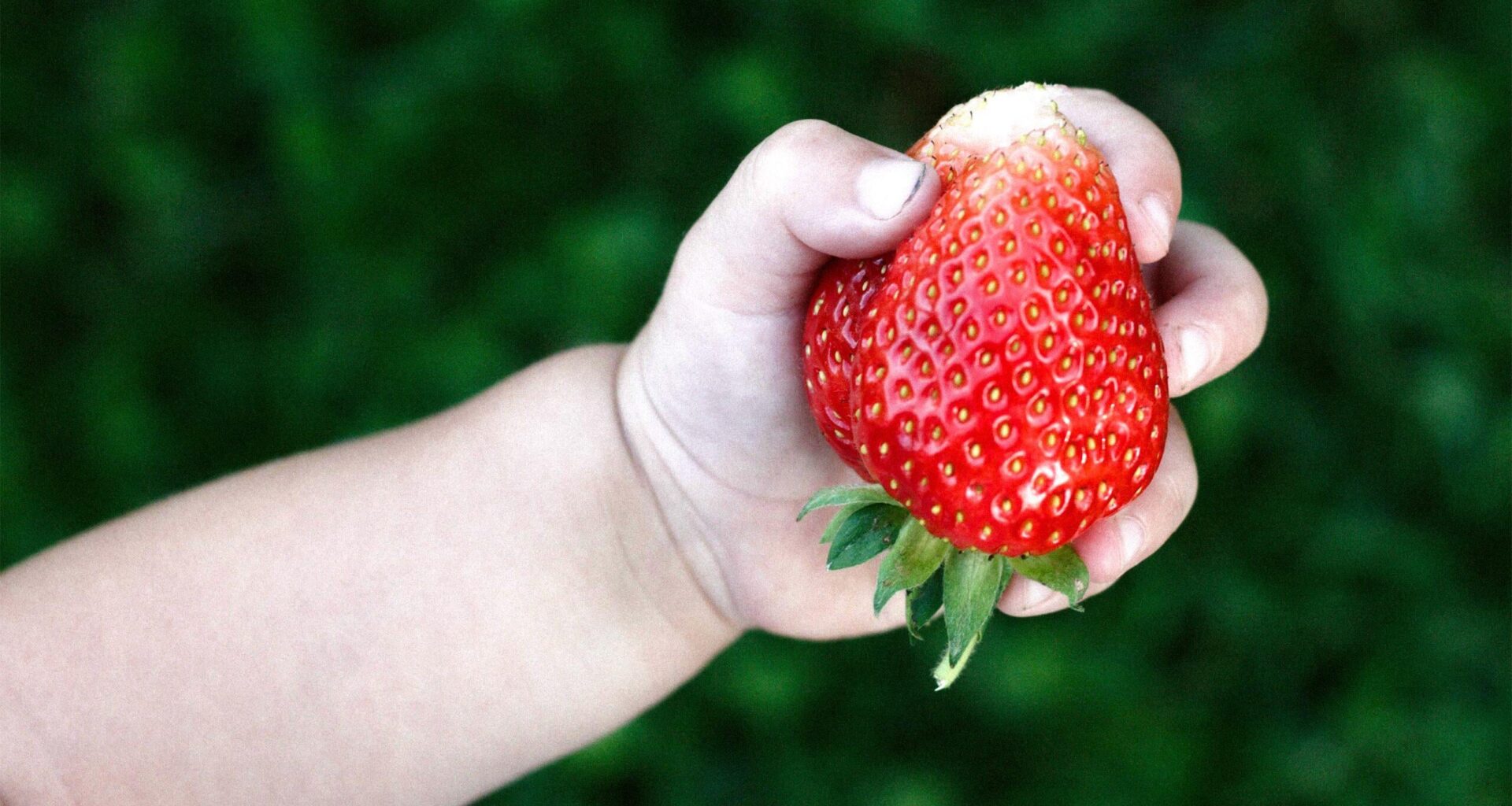 Fem år efter forbud: Giftigt stof er stadig i vores fødevarer