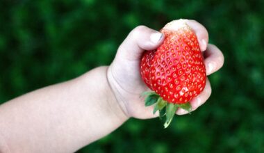 Fem år efter forbud: Giftigt stof er stadig i vores fødevarer
